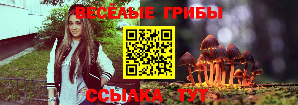 Ахтубинск  Псилоцибиновые грибы мицелий  Галлюциногенные грибы мухоморы  Вход с VPN 